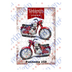 Veterán motoros kirakó - Pannonia 250