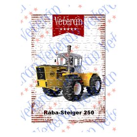 Veterán autós kirakó - Rába Steiger