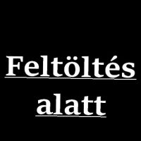 Kitűző - jelvény